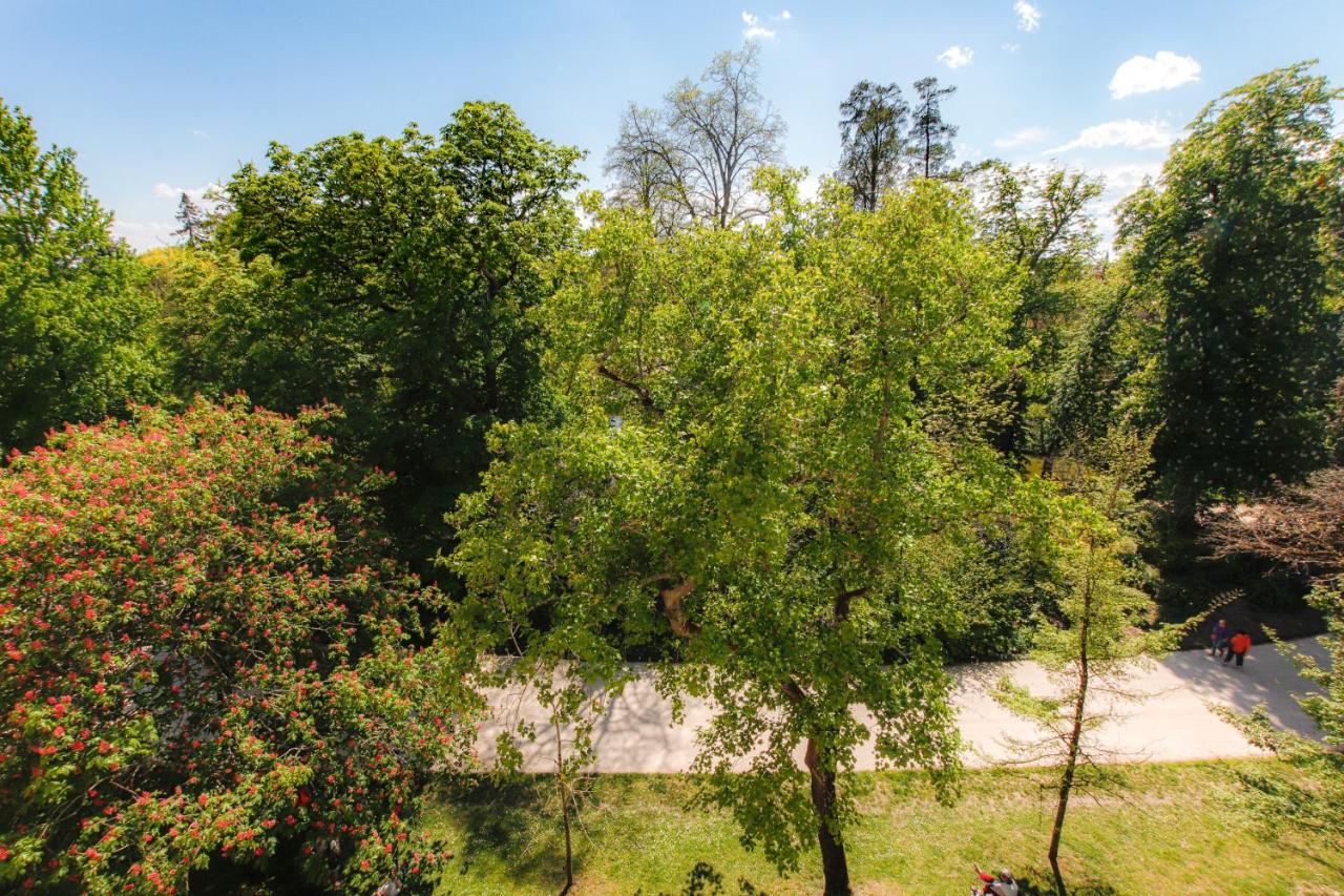 Maison Labruyere Bordeaux - Jardin Public エクステリア 写真